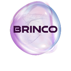 Brinco logo